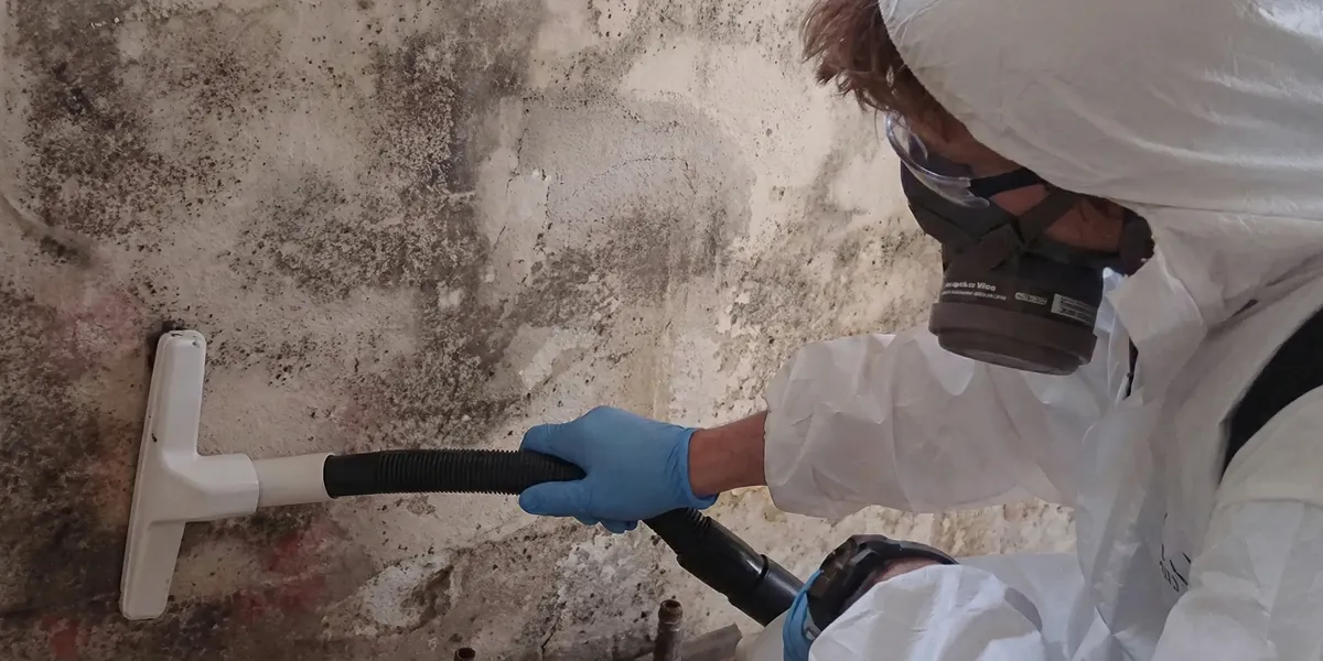 professional mold removal technician wearing protective equipment removing mold from a wall in Scottsdale, AZ